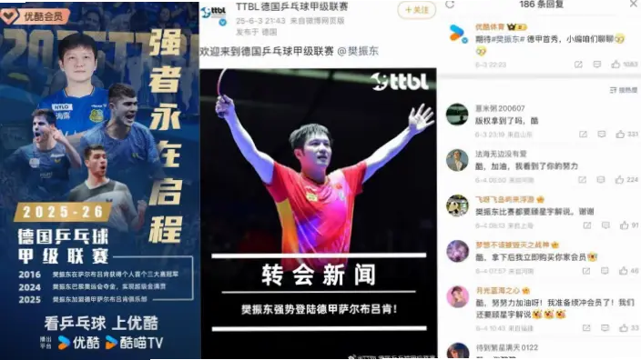乒乓球德甲直播优缺点全解析