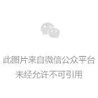 未来愿景与发展方向
